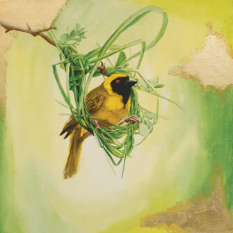 Weaver Bird 1