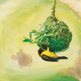 Weaver Bird 2