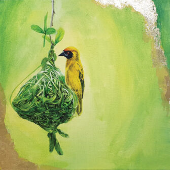 Weaver Bird 3