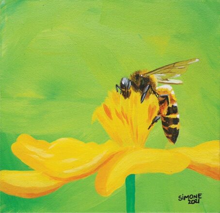 Honey bee on green background