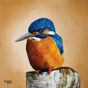 Kingfisher 3