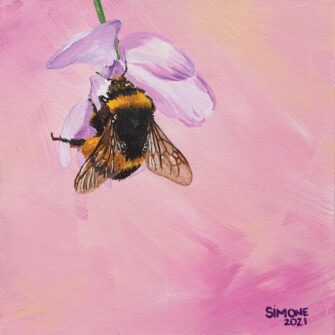 Pink Bumblebee